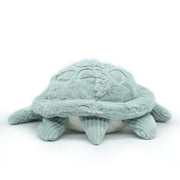 Reuzenschildpad munt - Studio Blooming